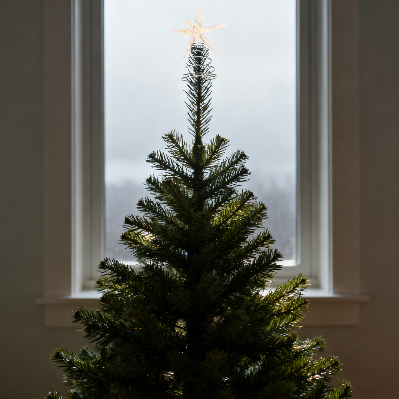 Kust-kerstboomtopper, zeedraad - Star Tree Topper recensie en prijs